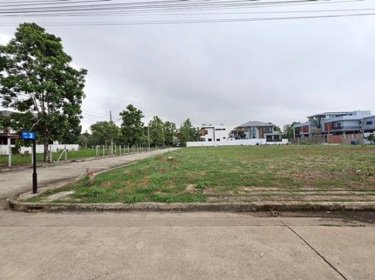 ��·��Թ �ҧ�͹