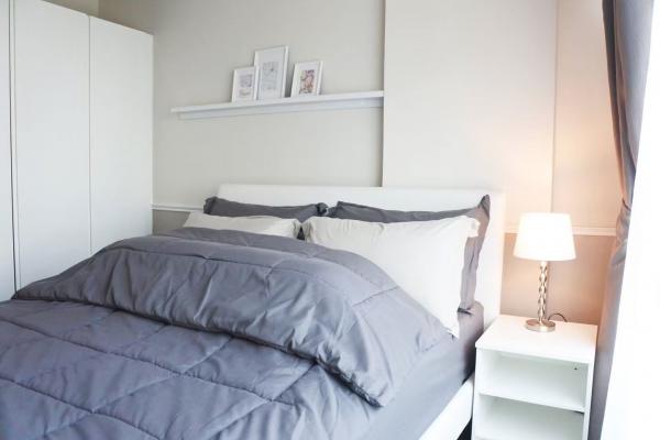 ��¤͹� �з������