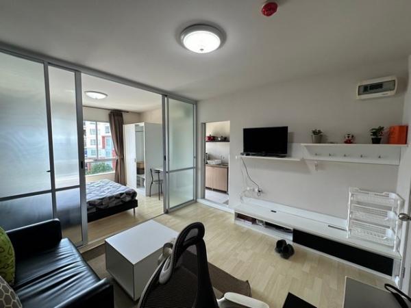 ��¤͹� �з������