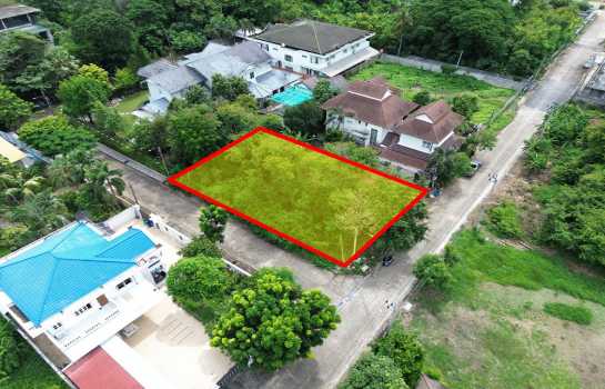 ���Թ�����ǡ�鹾�鹷�� �ҧ�