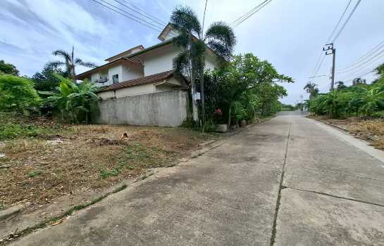 ���Թ�ٻ���������� �ҧ�