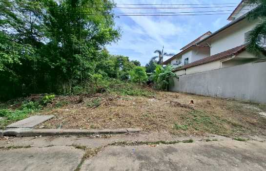 ���Թ����Ѻ���˹�� �ҧ�