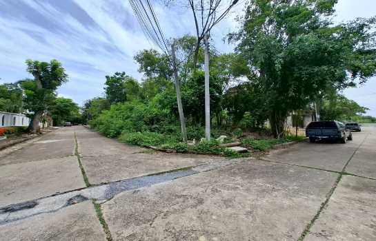 ���Թ������ҧ �ҧ�