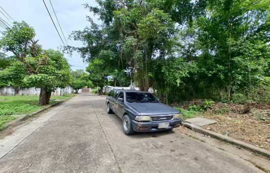 ���Թ�ҧ� �ҧ�