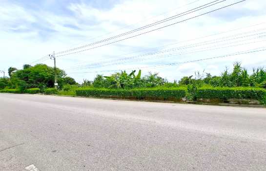 ��·��Թ �ҧ�͹