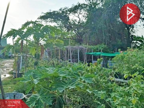 ���Թ�Դ����˭� ���ͧ��ط��Ҥ�