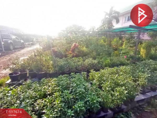 ���Թ���ͧ��ط��Ҥ� ���ͧ��ط��Ҥ�