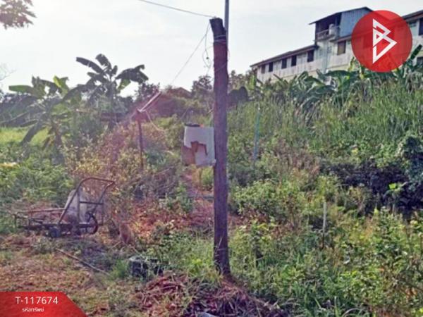 ���Թ  ���ͧ��ط��Ҥ�