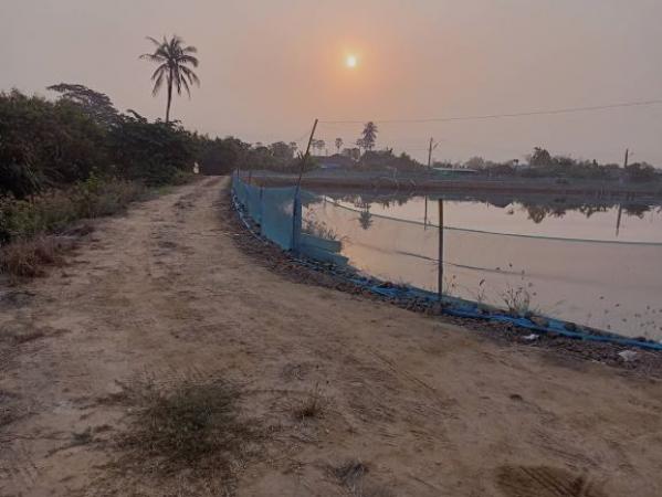 ���Թ 5 ���