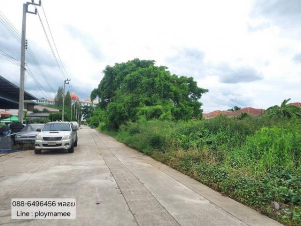 ���Թ����˹�� �ҧ��Ƿͧ