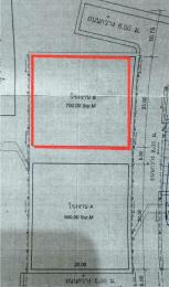 ������⡴ѧ �����ҹ ��û��