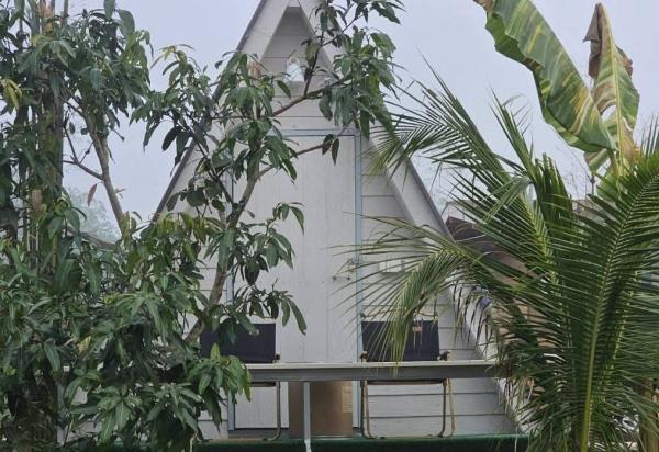 ��·��Թ ��§�ҹ ���