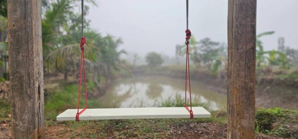 ��·��Թ ��§�ҹ ���