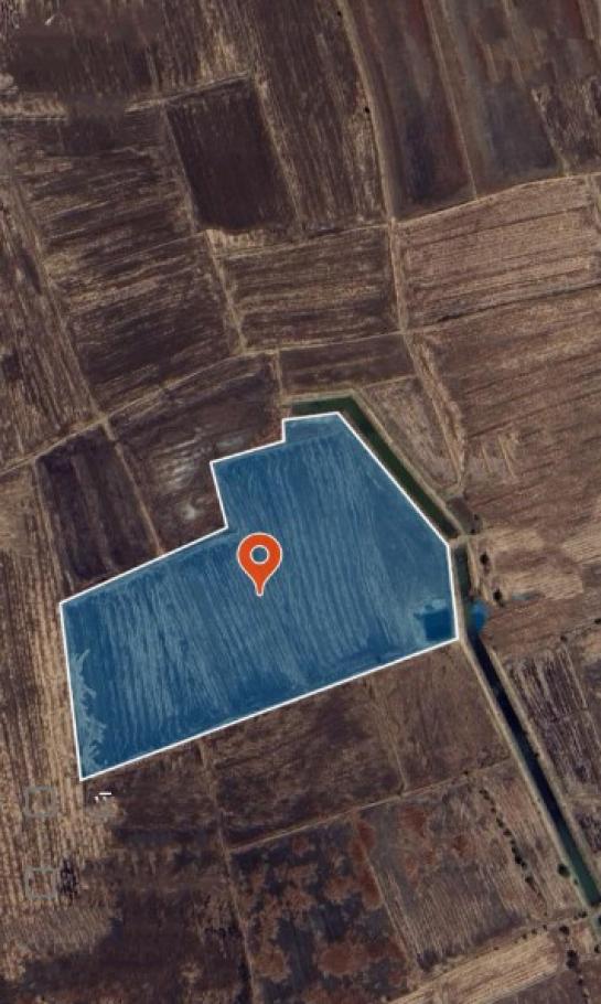 ���Թ 21 ���