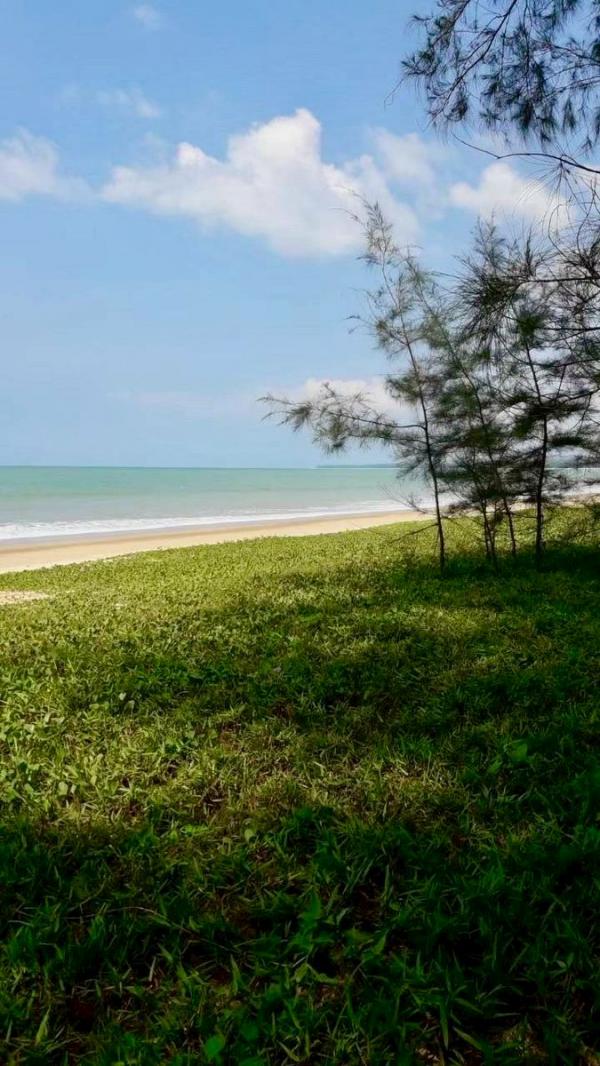 ��·��Թ �С��ǻ�Ҿѧ��