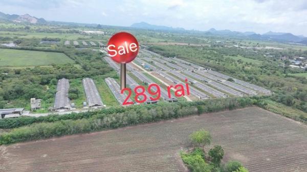 �ç�ҹ ��к��� 