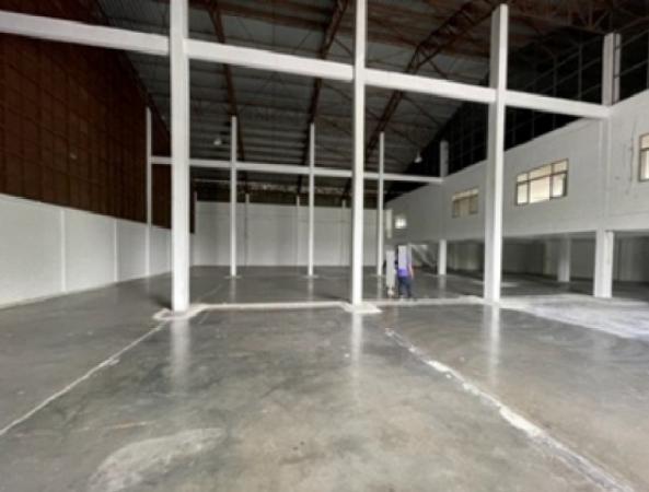 ⡴ѧ������ ���⢹���ا෾