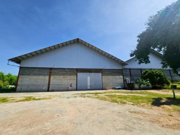 ⡴ѧ���ͧ �� goodlada24