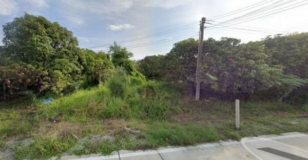 ���Թ �Դ����͹��յ 2,500,000 �ҷ