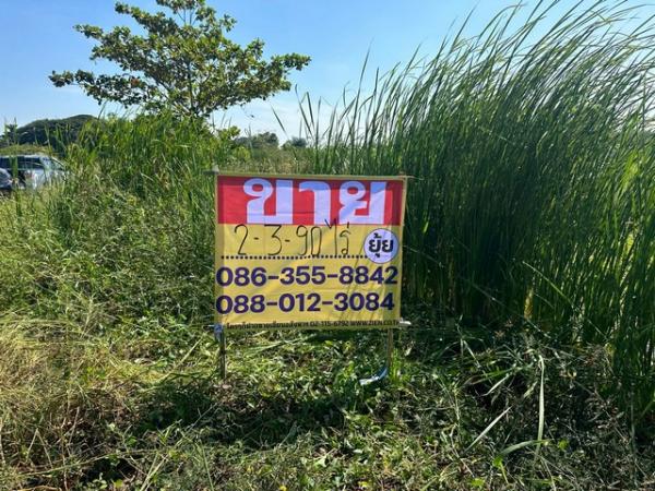 ������ �� zionasset1