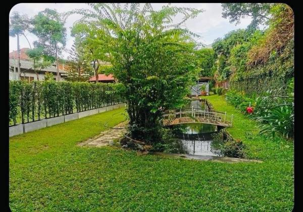 ��·��Թ ������