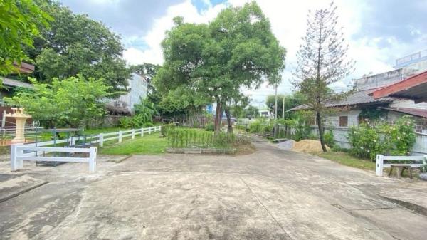 ��·��Թ ������