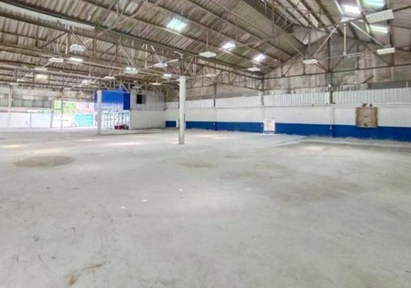 ⡴ѧ������ ���⢹���ا෾