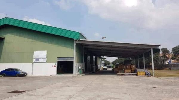 ���⡴ѧ �ҧ���ا �ź���