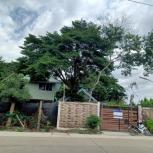 ��·��Թ �Ҥһ�С�Ȣ�� 3,950,000 �ҷ