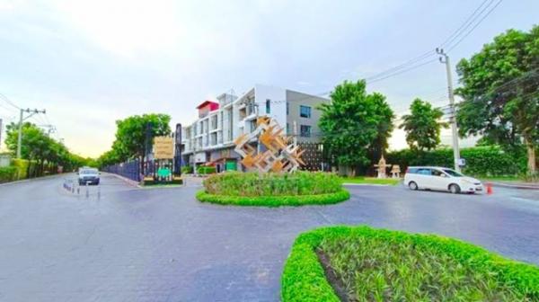 �Ҥ�þҳԪ���Ҵ������Թ ������