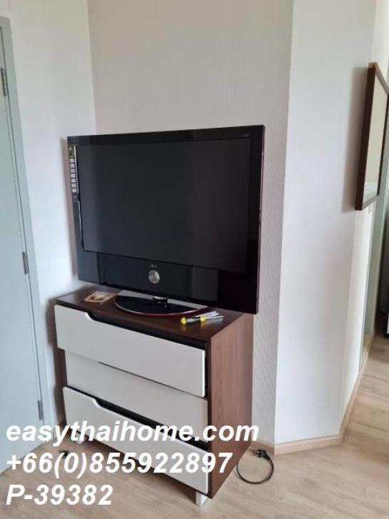 �͹����������ú ������