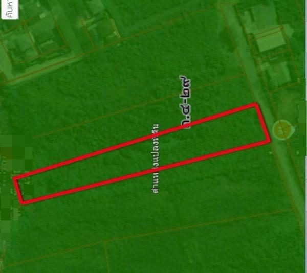 ��·��Թ �ҧ�͹