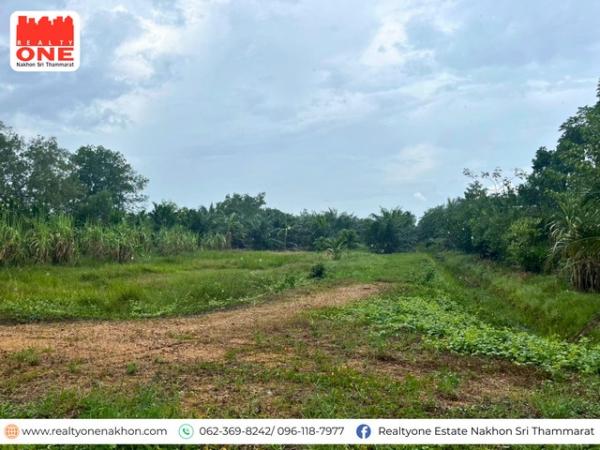 ��·��Թ ��Һ͹�ѷ�ا