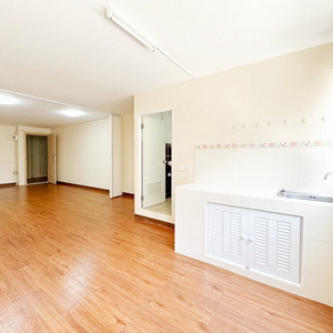 �͹������������� �ҧ���