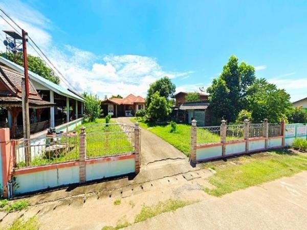 ��º�ҹ �ͧ ���