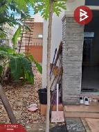 ��� ��ҹ ���觪ѹ 35 ���ҧ��