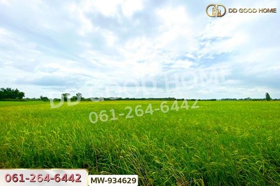 ��·��Թ ��ǧ����ҧ�ͧ