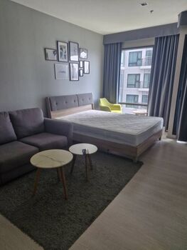 �͹����������¹�� ��ͧ��