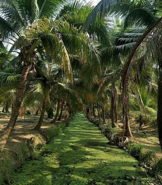 ที่ดิน 5 ไร่ ที่ดิน 5 ไร่