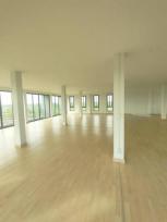 �ӹѡ�ҹ ˹ͧ�͡ 182 ���ҧ��