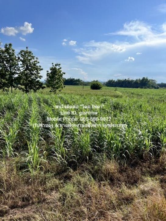 ��·��Թ ���ͧ��� ���