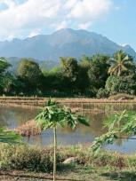 ��·��Թ �Ҥһ�С�Ȣ�� 2,000,000 �ҷ