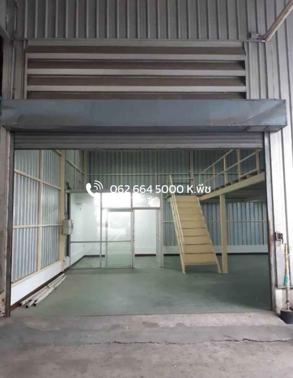 ⡴ѧ������ �ҧ��������ا෾