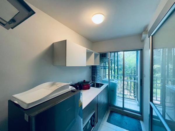 �͹�������ͧ��俿�� ��§����