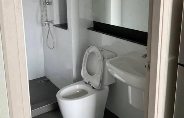 ��¤͹� ���ͧ�͹�� �͹��