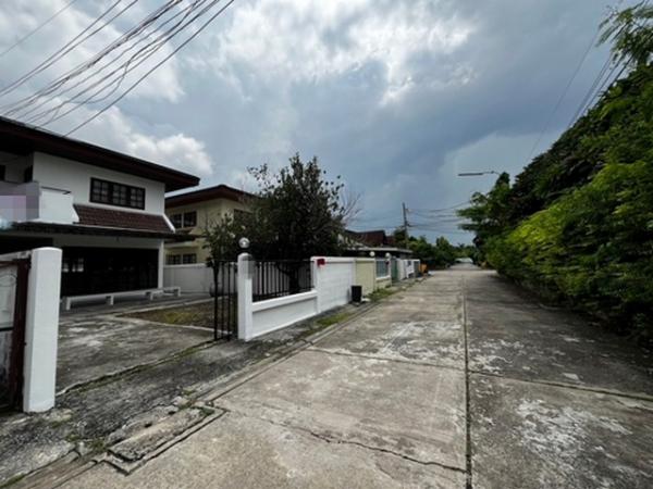 �Ҥ�þҳԪ�������� �оҹ�٧��ا෾