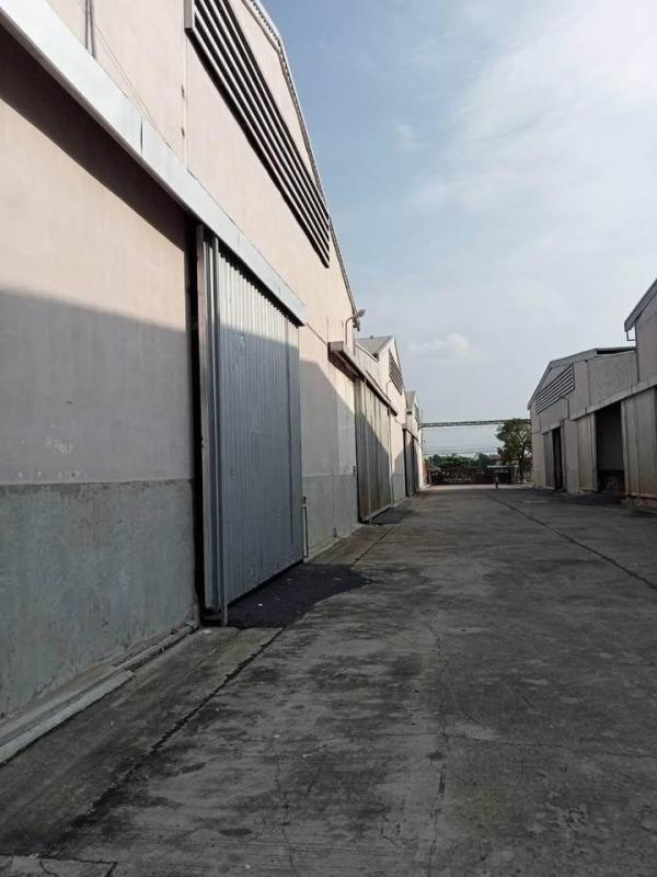 �ç�ҹ������ �ҧ��Ƿͧ�������