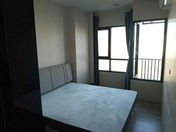 �͹ⴺҧ��� �ҧ���