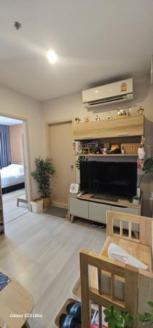 �͹� �ҧ��Ѵ 30 ���ҧ����