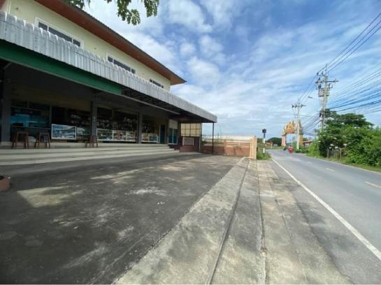 �Ҥ�þҳԪ�������� �ҡ��紹������